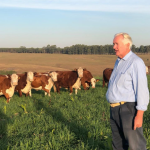 As commodities agrícolas exigem estratégias práticas para maximizar resultados e reduzir riscos, explica Aldo Vendramin.