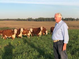 As commodities agrícolas exigem estratégias práticas para maximizar resultados e reduzir riscos, explica Aldo Vendramin.