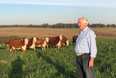 As commodities agrícolas exigem estratégias práticas para maximizar resultados e reduzir riscos, explica Aldo Vendramin.