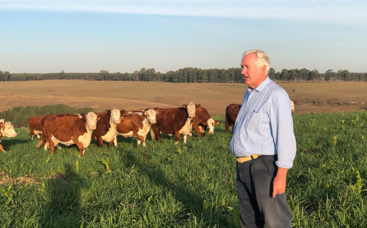 As commodities agrícolas exigem estratégias práticas para maximizar resultados e reduzir riscos, explica Aldo Vendramin.