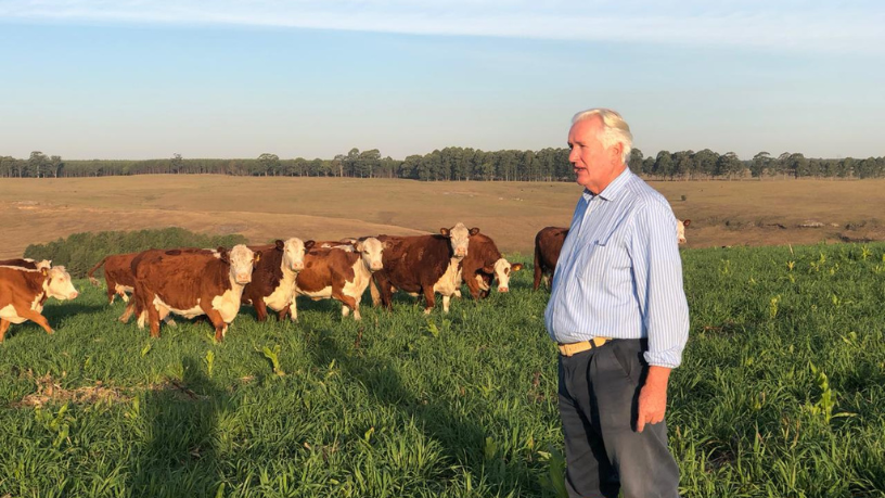 As commodities agrícolas exigem estratégias práticas para maximizar resultados e reduzir riscos, explica Aldo Vendramin.