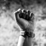 Um Movimento que Ecoa por Justiça e Proteção Animal em Curitiba