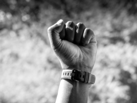 Um Movimento que Ecoa por Justiça e Proteção Animal em Curitiba