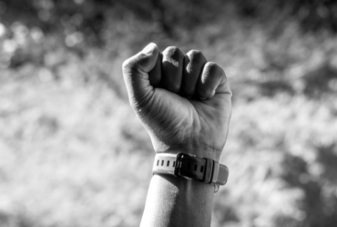 Um Movimento que Ecoa por Justiça e Proteção Animal em Curitiba