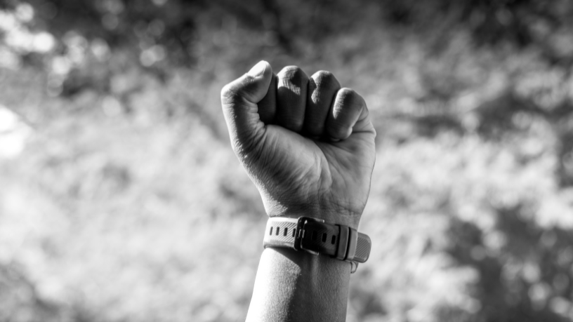 Um Movimento que Ecoa por Justiça e Proteção Animal em Curitiba