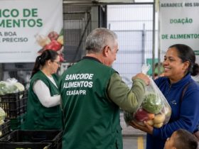 Curitiba se torna referência internacional em segurança alimentar e mostra como políticas públicas podem transformar cidades