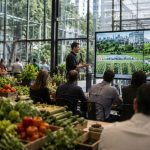 Políticas de alimentação urbana em Curitiba ganham destaque em debates internacionais sobre sustentabilidade