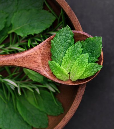 Folhas frescas de hortelã em uma colher de madeira, cercadas por outras ervas sobre uma superfície rústica.