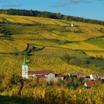 Vinhedos da Alsácia em primeiro plano, com uma vila tradicional e colinas cobertas pela vegetação outonal ao fundo.
