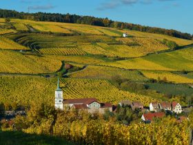 Vinhedos da Alsácia em primeiro plano, com uma vila tradicional e colinas cobertas pela vegetação outonal ao fundo.