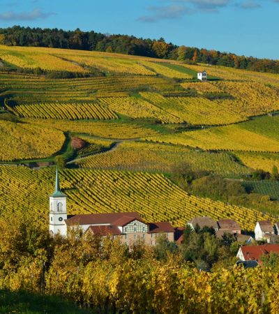 Vinhedos da Alsácia em primeiro plano, com uma vila tradicional e colinas cobertas pela vegetação outonal ao fundo.